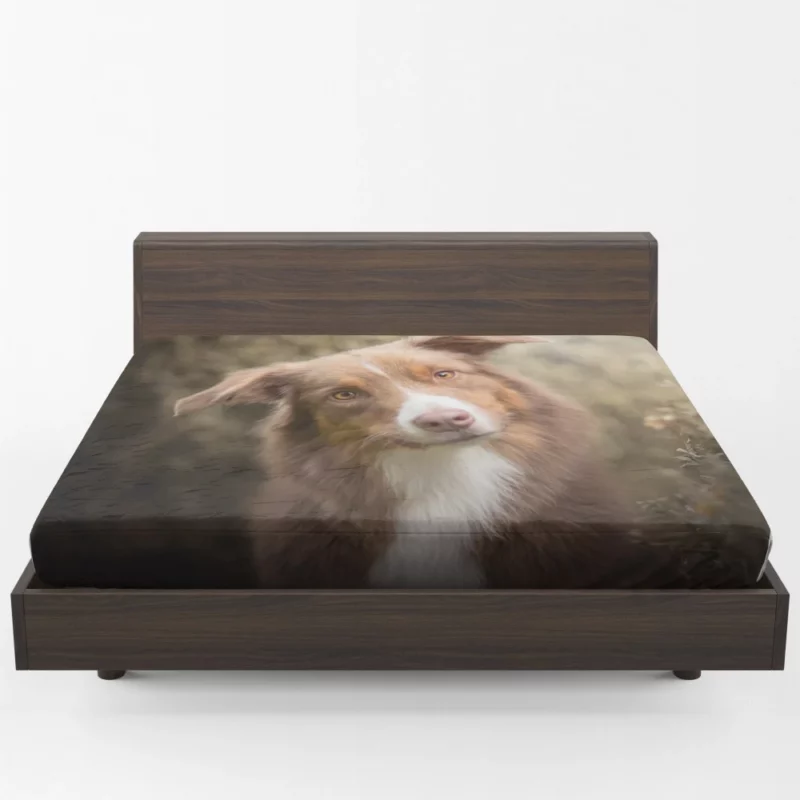 Aussie Shepherd Determination Fitted Sheet