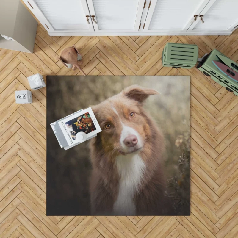 Aussie Shepherd Determination Rug