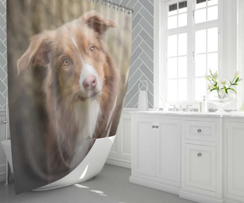 Aussie Shepherd Determination Shower Curtain 1