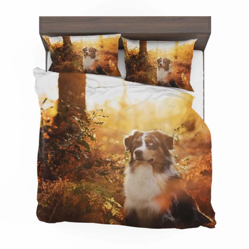 Aussie Shepherd Fall Adventure Energetic Play Bedding Set 1