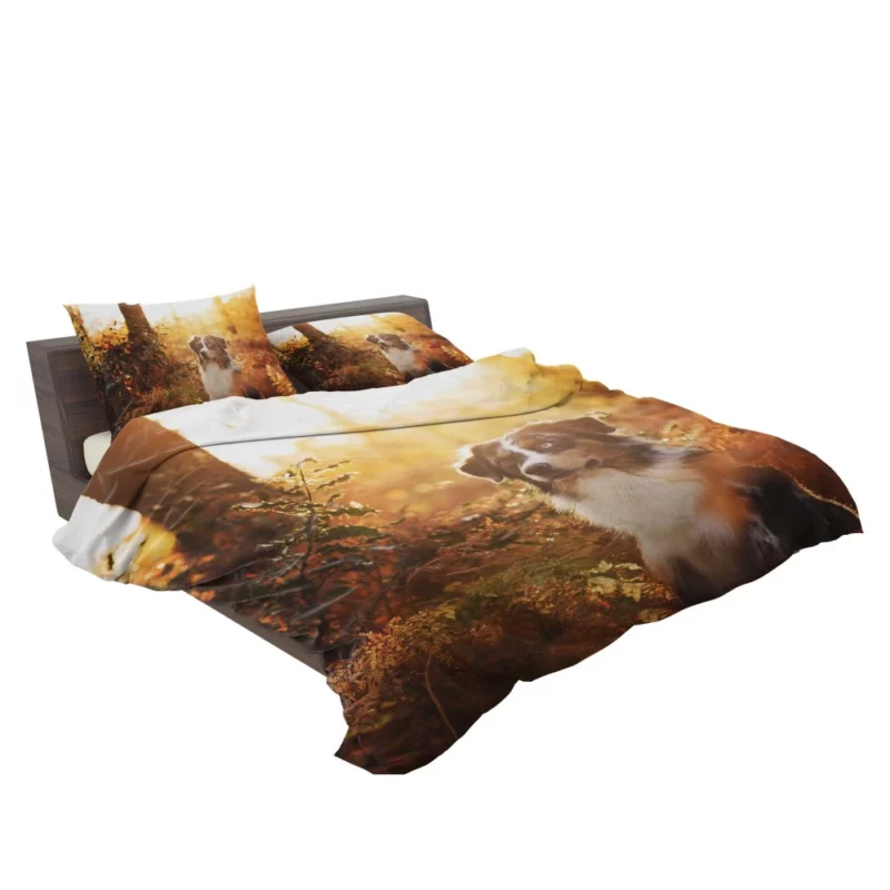 Aussie Shepherd Fall Adventure Energetic Play Bedding Set 2