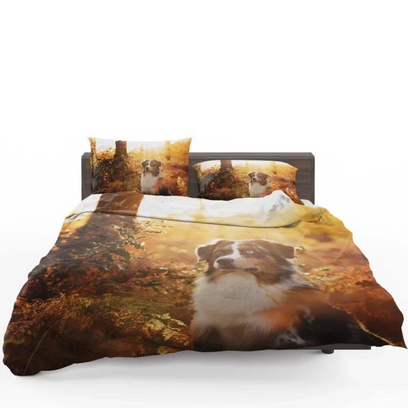 Aussie Shepherd Fall Adventure Energetic Play Bedding Set