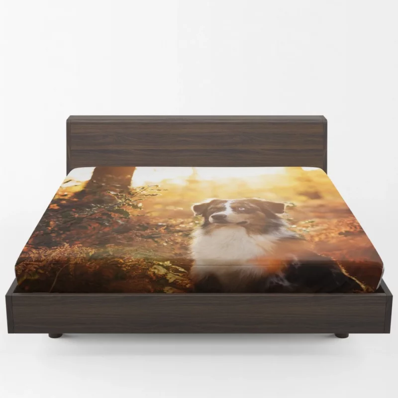 Aussie Shepherd Fall Adventure Energetic Play Fitted Sheet