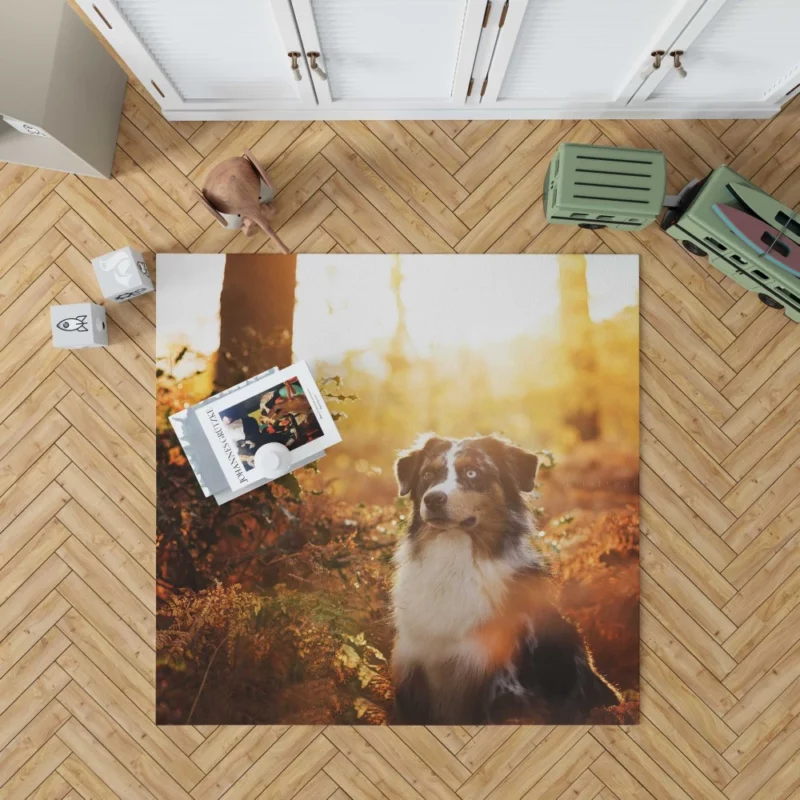 Aussie Shepherd Fall Adventure Energetic Play Rug