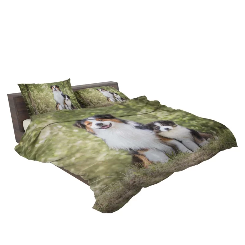 Aussie Shepherd Father and Son Bonding Duo Bedding Set 2