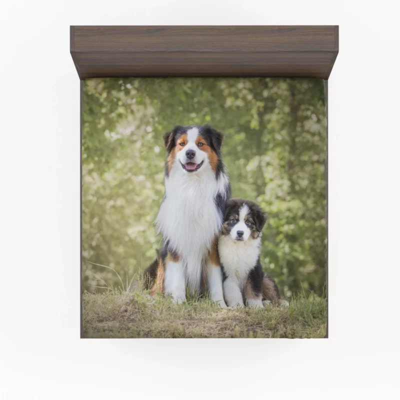 Aussie Shepherd Father and Son Bonding Duo Fitted Sheet 1