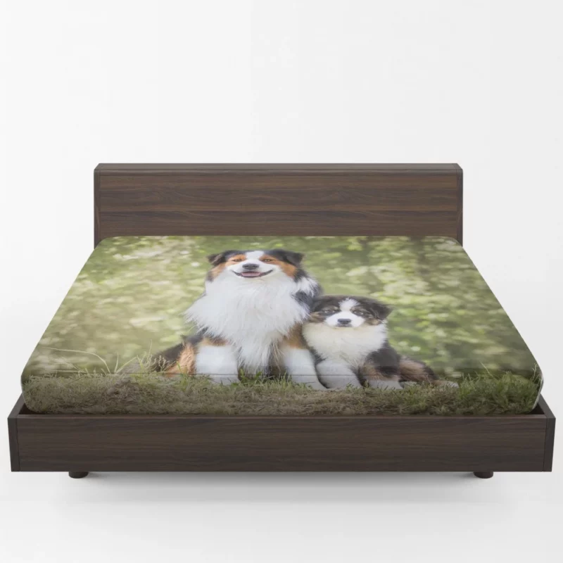 Aussie Shepherd Father and Son Bonding Duo Fitted Sheet