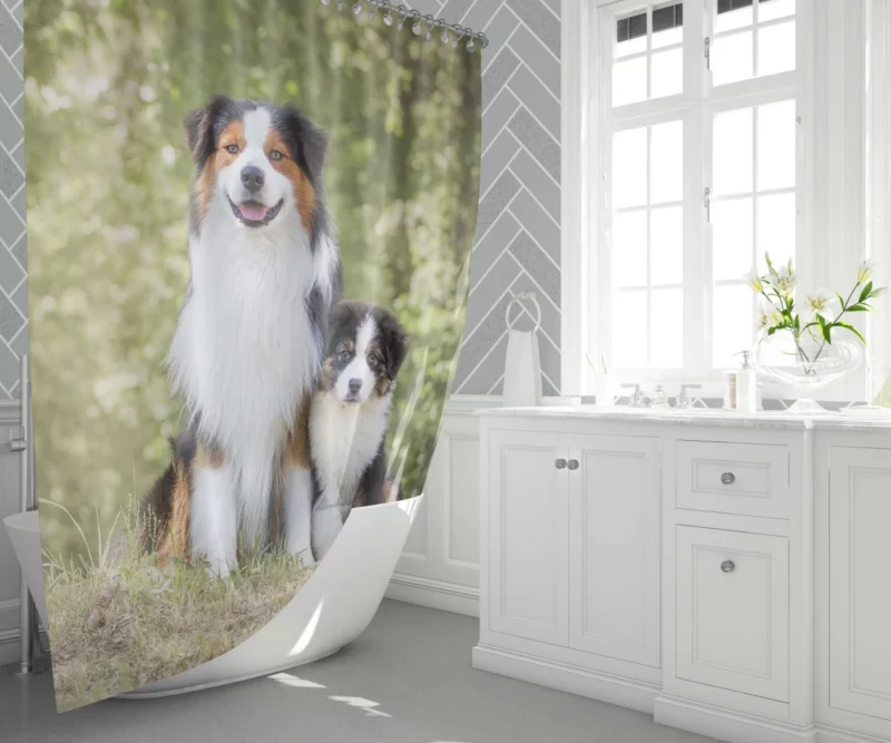 Aussie Shepherd Father and Son Bonding Duo Shower Curtain 1