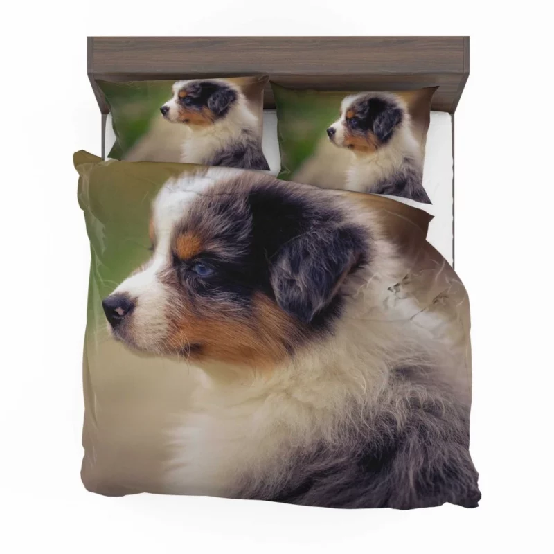 Aussie Shepherd Playful Antics Fuzzball Fun Bedding Set 1