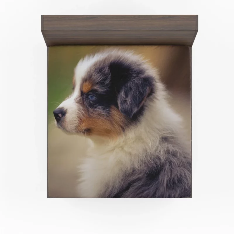 Aussie Shepherd Playful Antics Fuzzball Fun Fitted Sheet 1