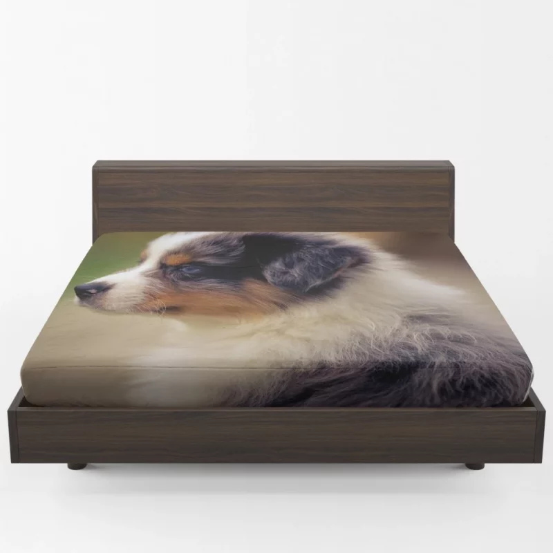 Aussie Shepherd Playful Antics Fuzzball Fun Fitted Sheet