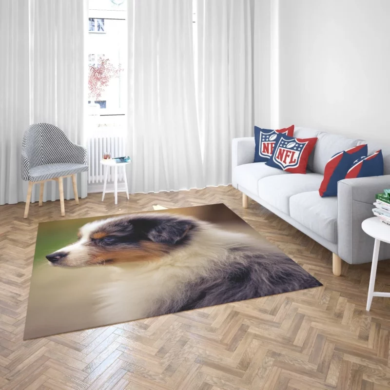 Aussie Shepherd Playful Antics Fuzzball Fun Rug 2