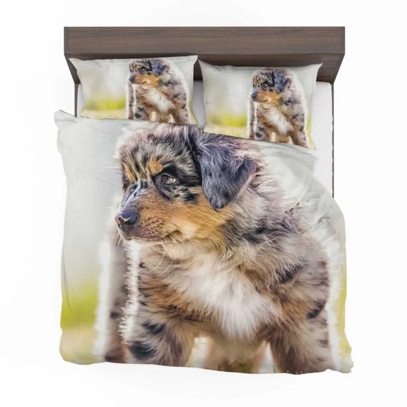 Aussie Shepherd Puppy Adventurous Innocence Bedding Set 1