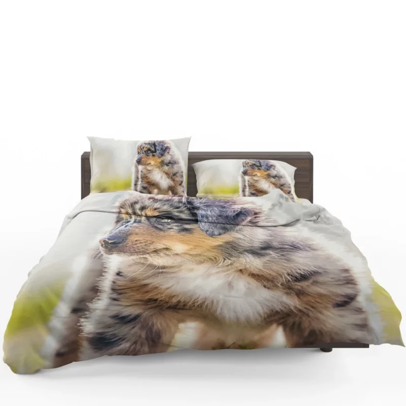 Aussie Shepherd Puppy Adventurous Innocence Bedding Set