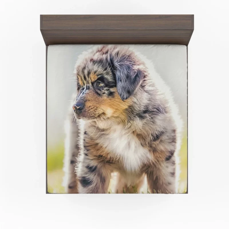 Aussie Shepherd Puppy Adventurous Innocence Fitted Sheet 1