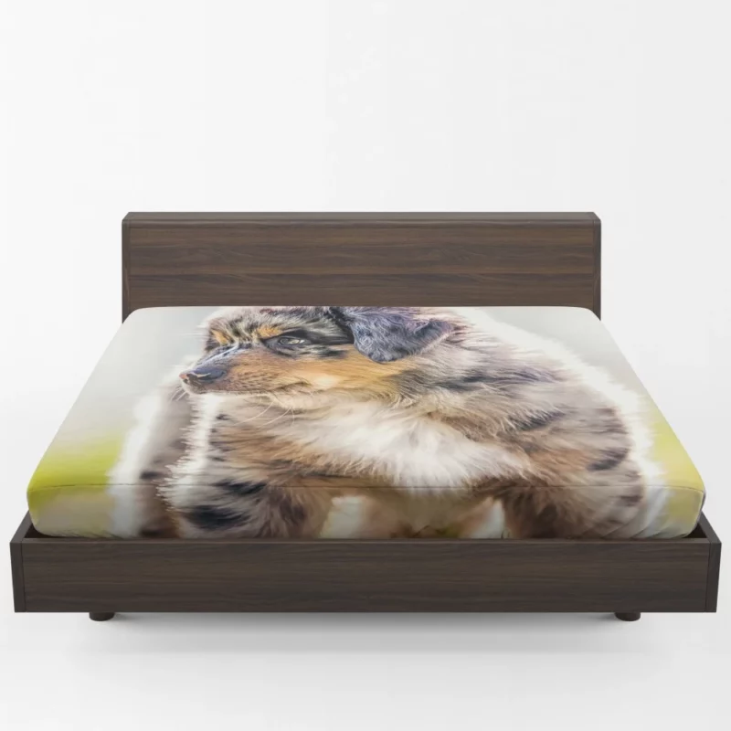 Aussie Shepherd Puppy Adventurous Innocence Fitted Sheet