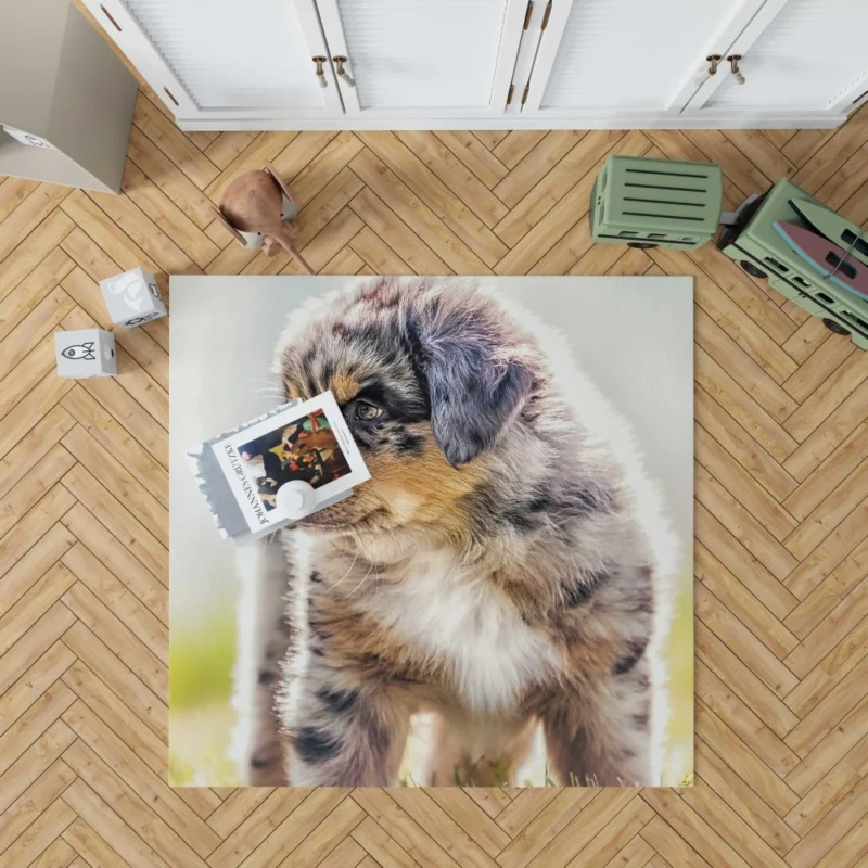 Aussie Shepherd Puppy Adventurous Innocence Rug