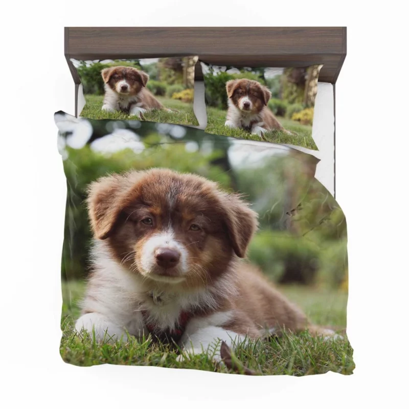 Aussie Shepherd Puppy Bokeh Adventure Bedding Set 1