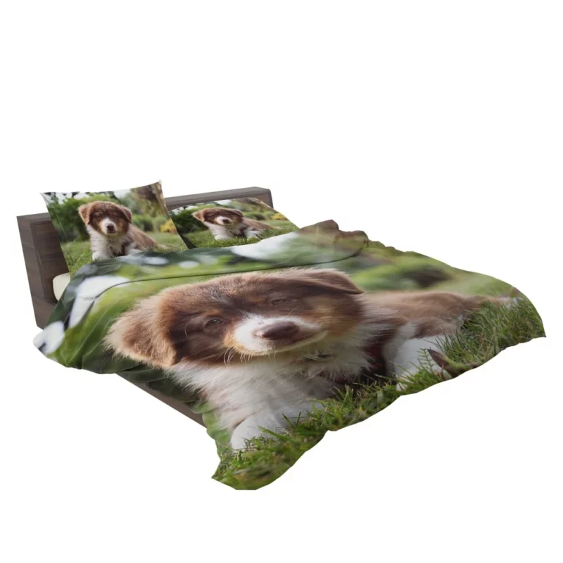 Aussie Shepherd Puppy Bokeh Adventure Bedding Set 2