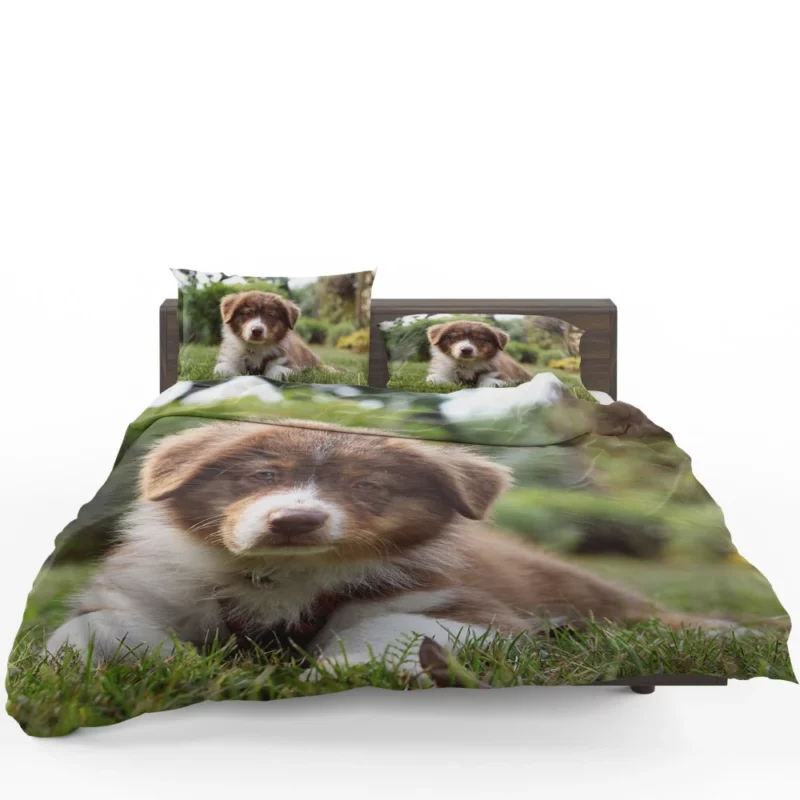 Aussie Shepherd Puppy Bokeh Adventure Bedding Set