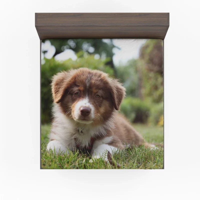 Aussie Shepherd Puppy Bokeh Adventure Fitted Sheet 1