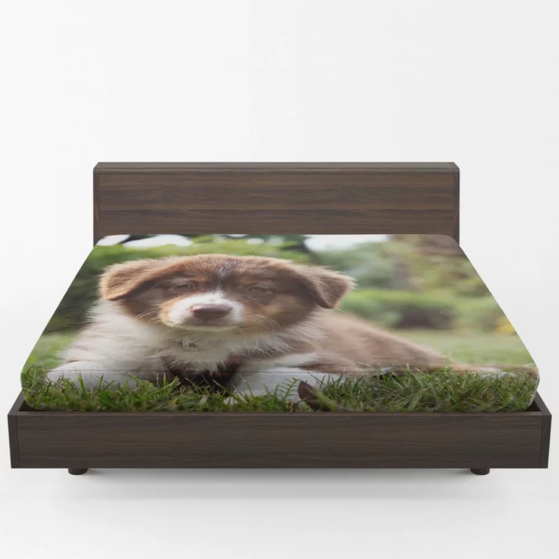 Aussie Shepherd Puppy Bokeh Adventure Fitted Sheet