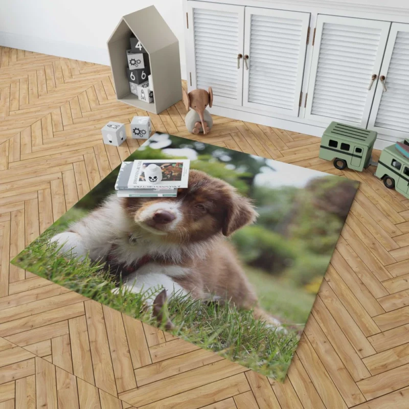 Aussie Shepherd Puppy Bokeh Adventure Rug 1