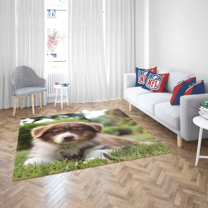 Aussie Shepherd Puppy Bokeh Adventure Rug 2