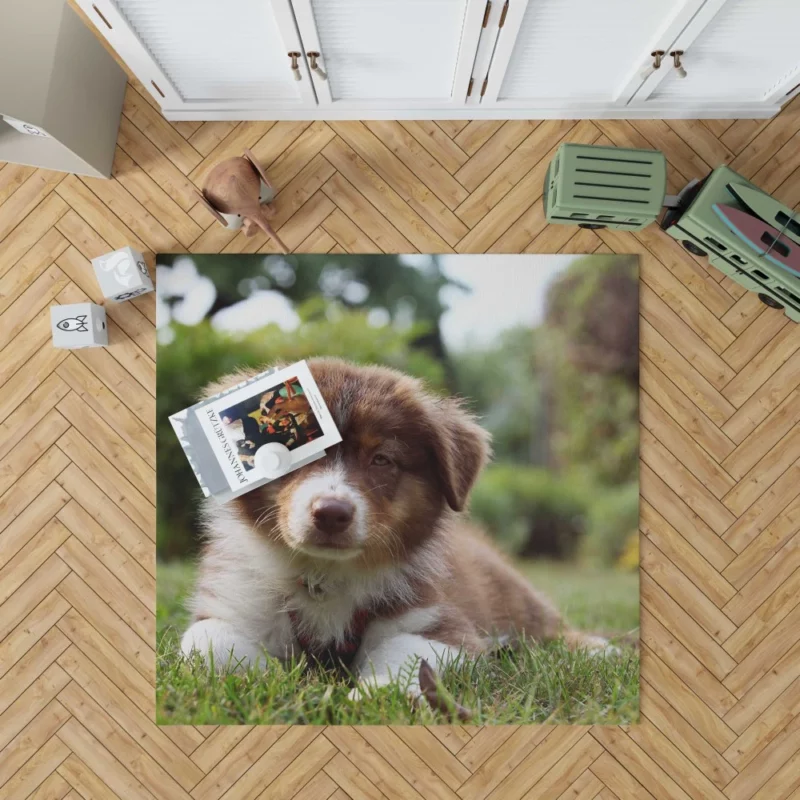 Aussie Shepherd Puppy Bokeh Adventure Rug