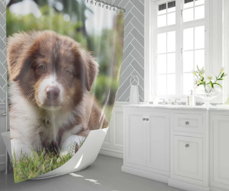 Aussie Shepherd Puppy Bokeh Adventure Shower Curtain 1