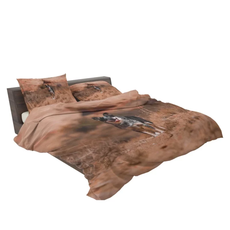 Australian Cattle Dog Amidst Bushes Bedding Set 2