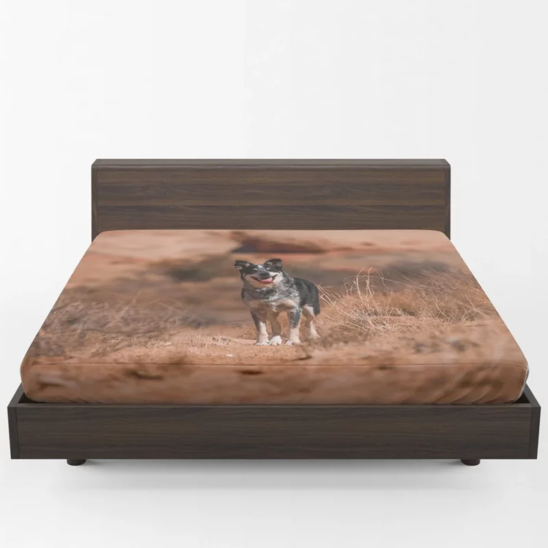 Australian Cattle Dog Amidst Bushes Fitted Sheet