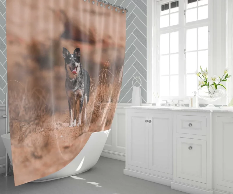 Australian Cattle Dog Amidst Bushes Shower Curtain 1