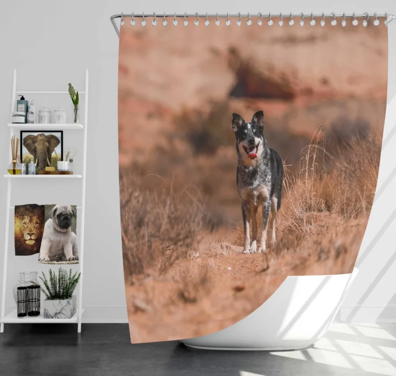 Australian Cattle Dog Amidst Bushes Shower Curtain