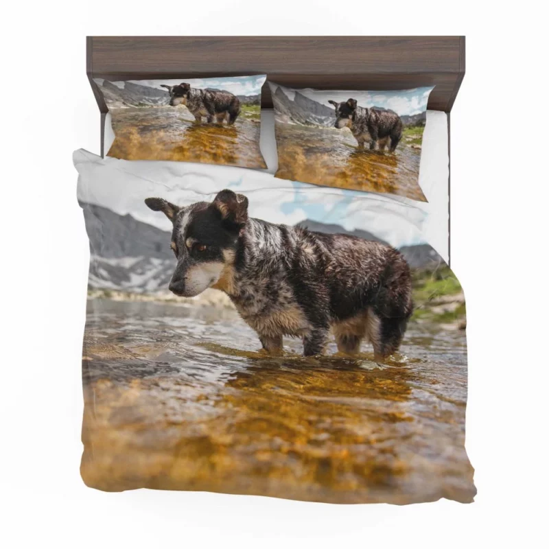 Australian Cattle Dog River Adventure Bedding Set 1