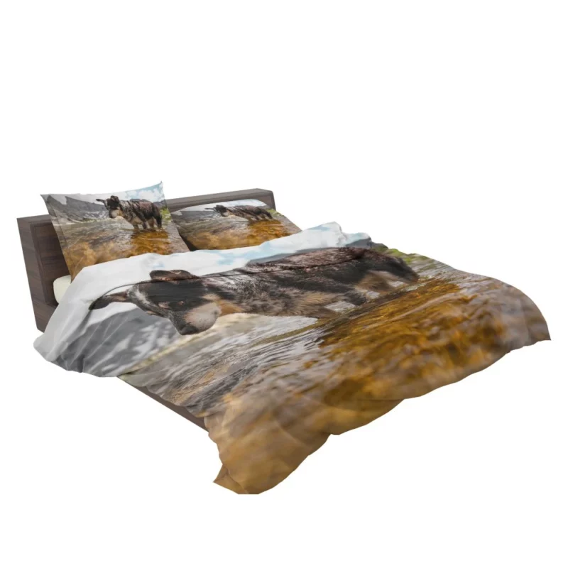 Australian Cattle Dog River Adventure Bedding Set 2