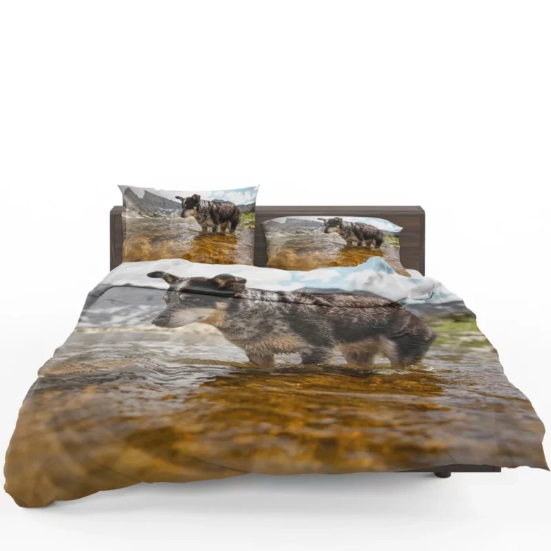 Australian Cattle Dog River Adventure Bedding Set