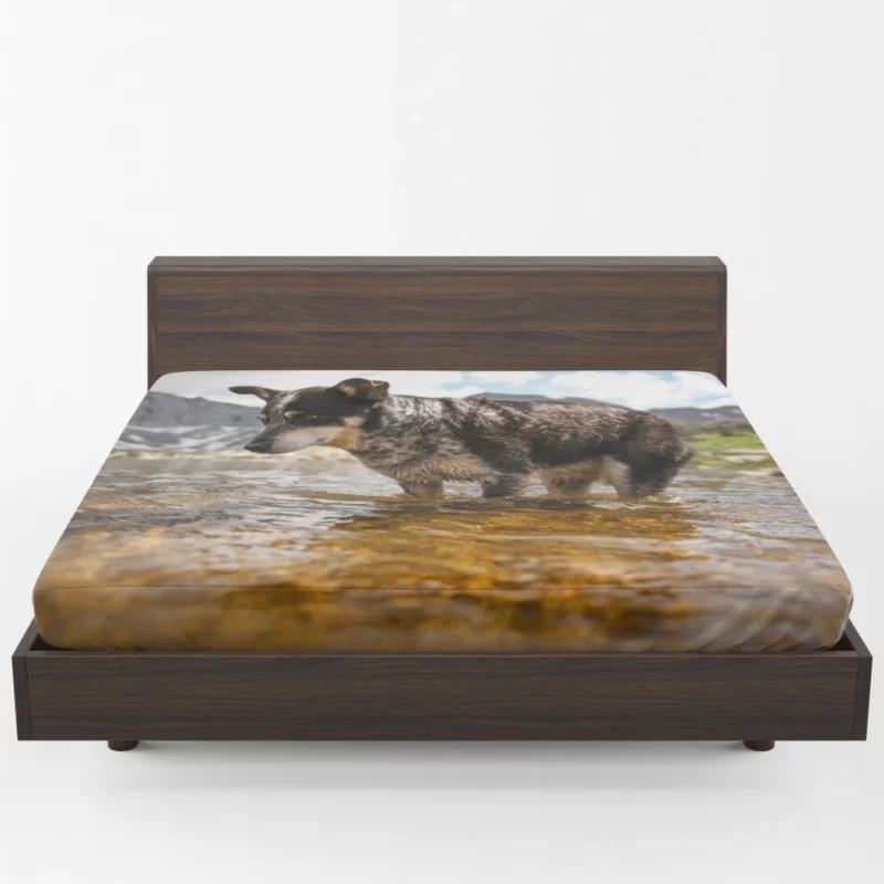 Australian Cattle Dog River Adventure Fitted Sheet