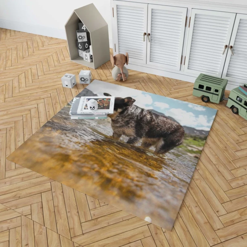 Australian Cattle Dog River Adventure Rug 1