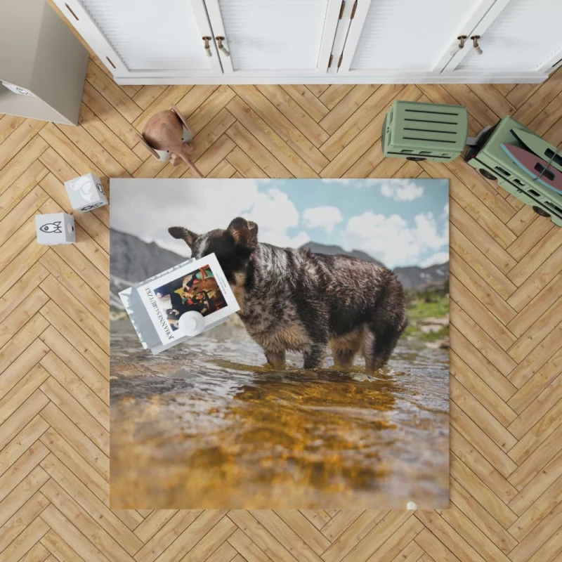 Australian Cattle Dog River Adventure Rug