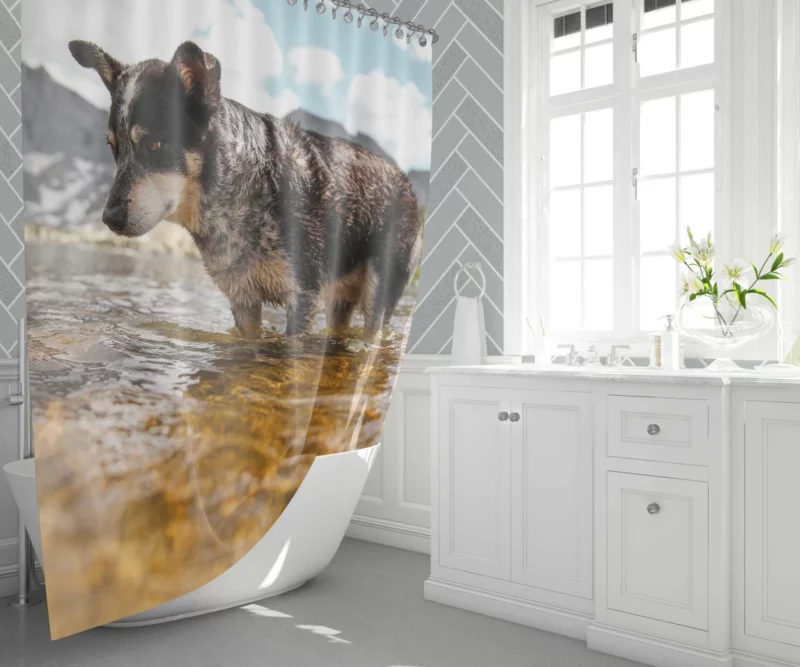 Australian Cattle Dog River Adventure Shower Curtain 1