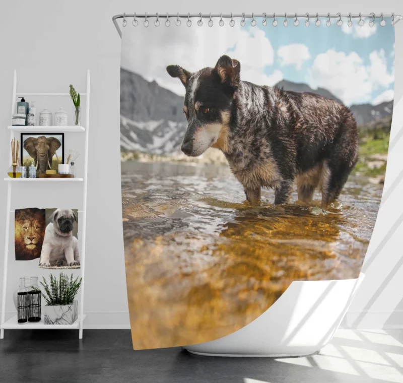 Australian Cattle Dog River Adventure Shower Curtain