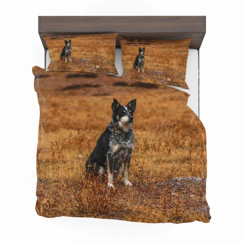 Australian Cattle Dog in Wilderness Bedding Set 1