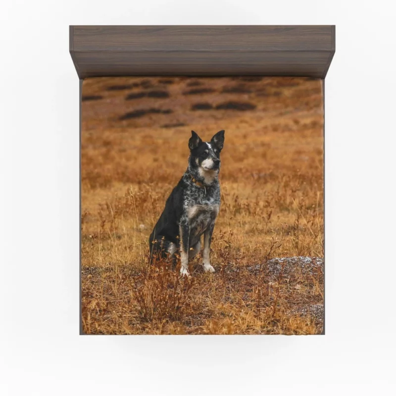 Australian Cattle Dog in Wilderness Fitted Sheet 1