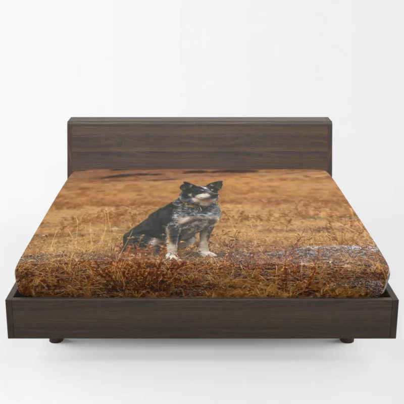 Australian Cattle Dog in Wilderness Fitted Sheet