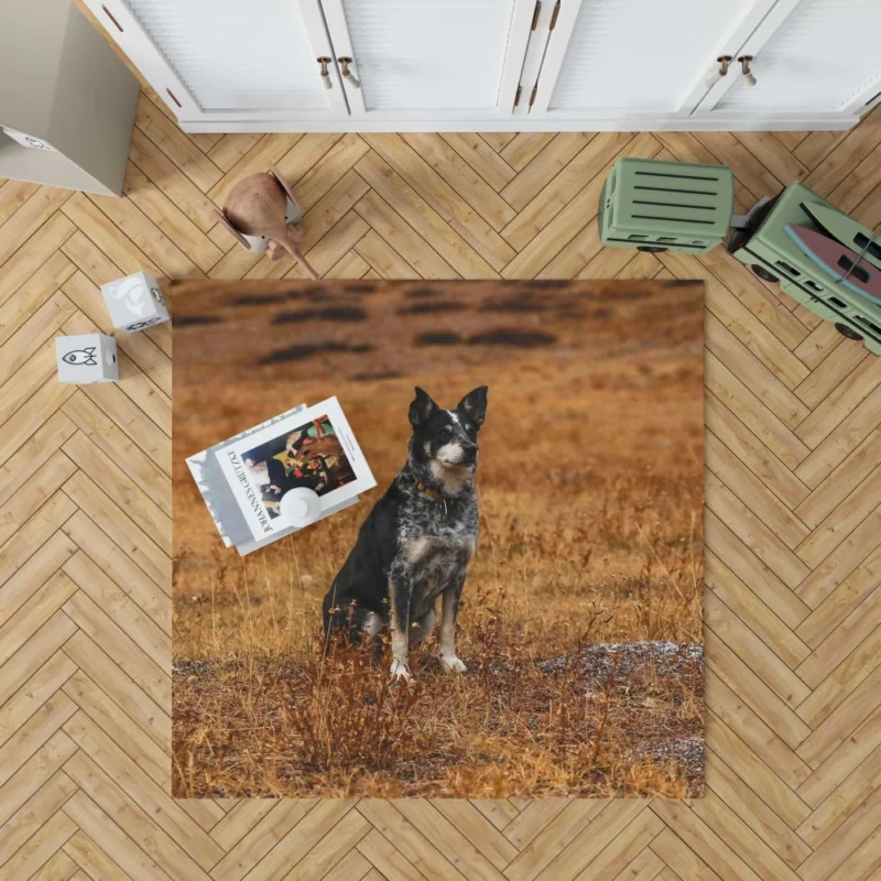 Australian Cattle Dog in Wilderness Rug