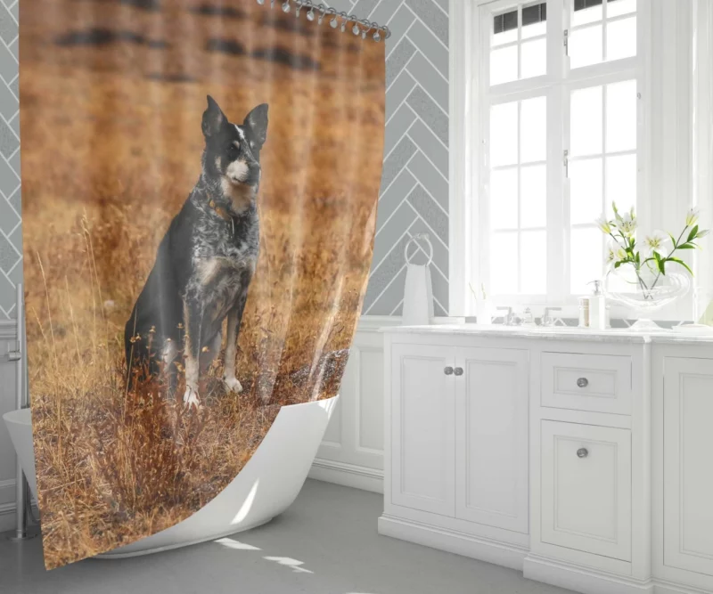 Australian Cattle Dog in Wilderness Shower Curtain 1