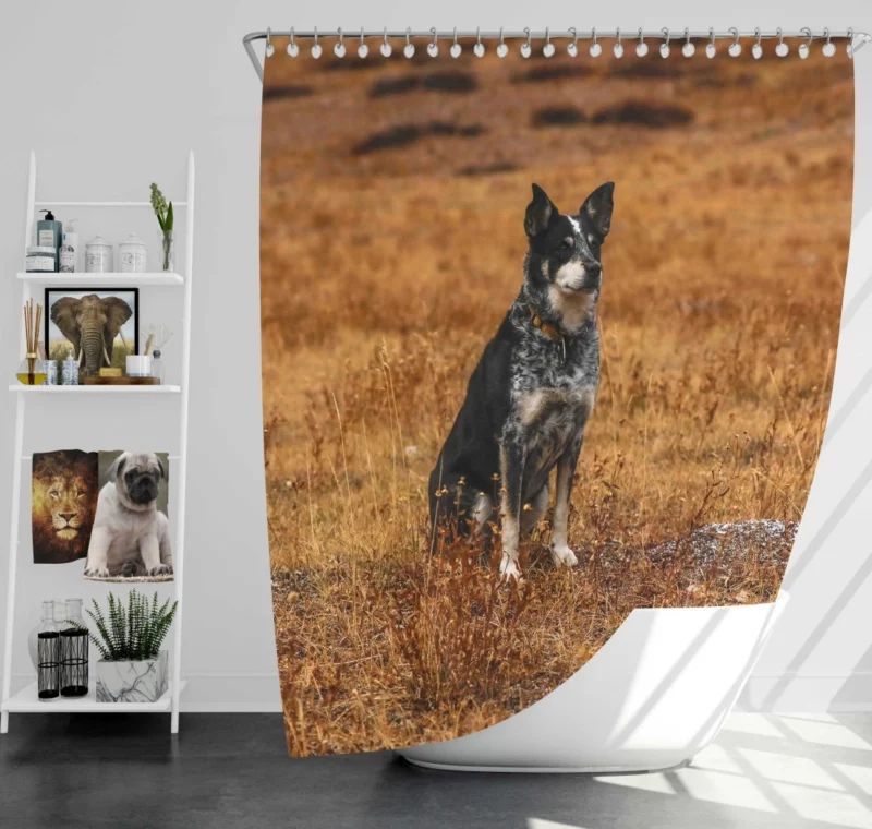 Australian Cattle Dog in Wilderness Shower Curtain