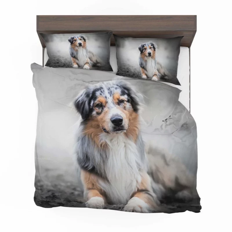 Australian Shepherd Adorable Charm Bedding Set 1