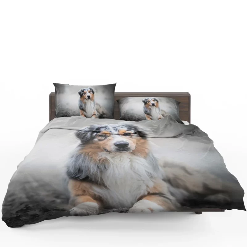 Australian Shepherd Adorable Charm Bedding Set